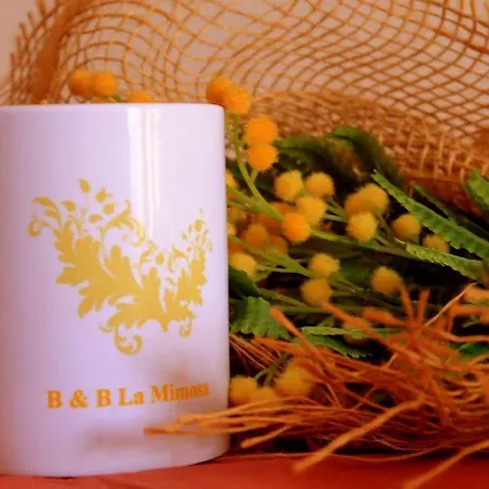 La Mimosa Bed & Breakfast